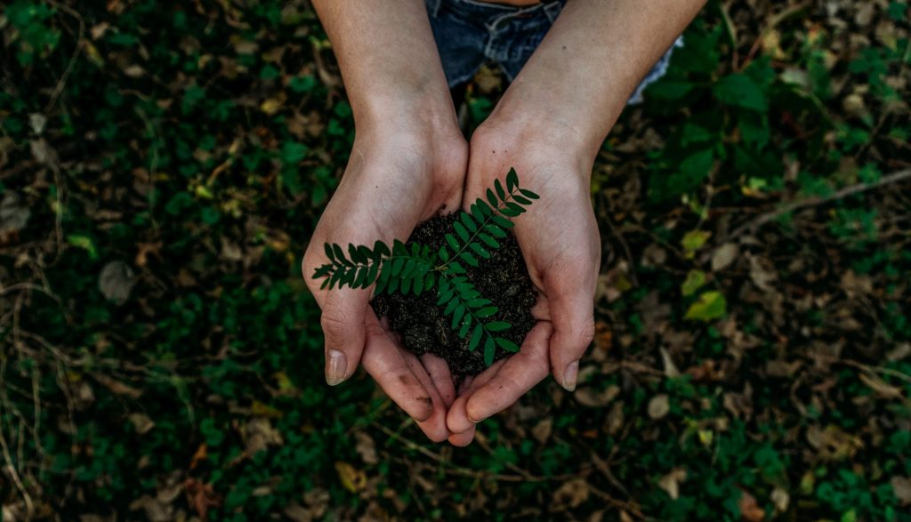 Riscos climáticos e cibernéticos estão entre as tendências mundiais para o setor de seguros nos próximos anos / Foto: Noah Buscher / Unsplash Images