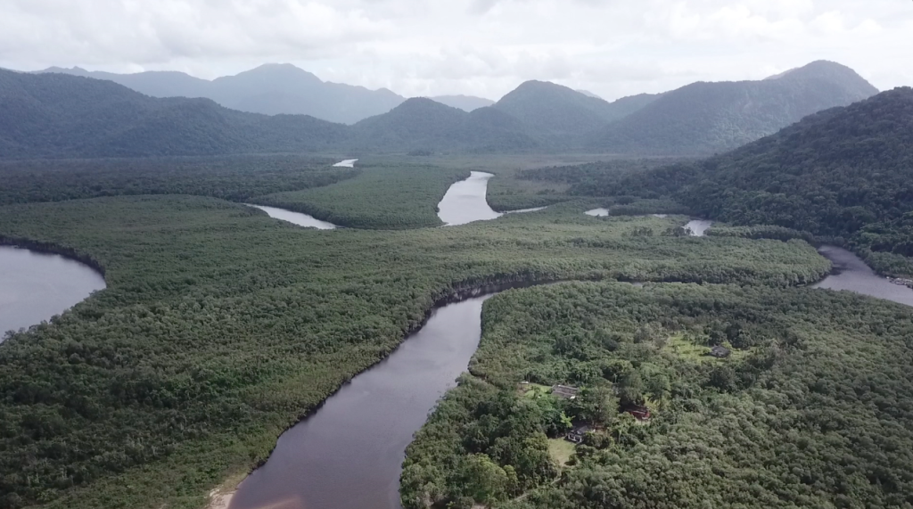 Mata Atlântica Litoral Sul de SP - Mosaico Jureia / Foto Ed Davies / Divulgação