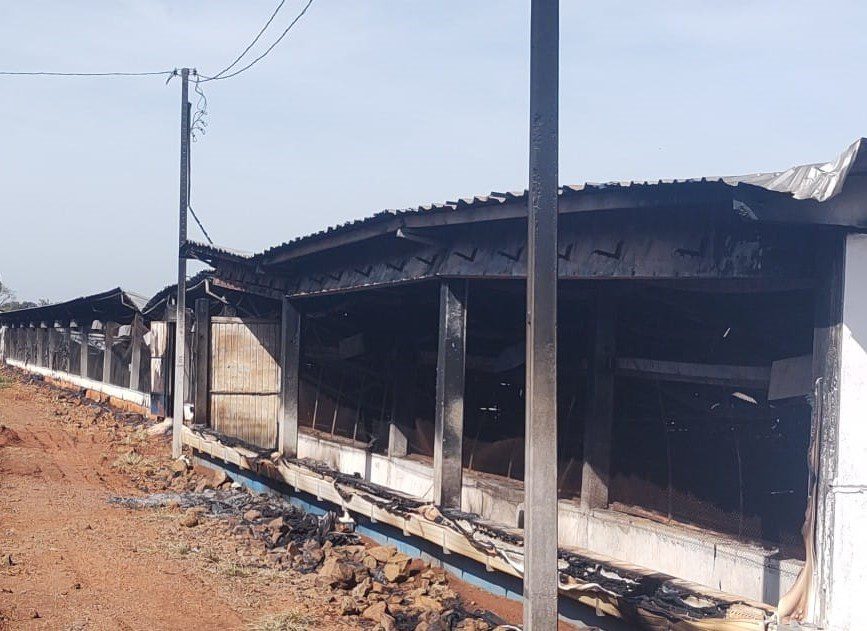 Sinistro em benfeitorias causado por incêndio Divulgação/FF Seguros