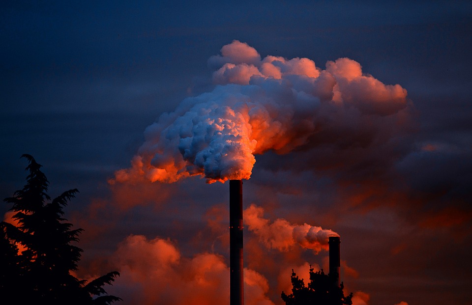 MAPFRE publica seu inventário anual de emissões de gases de efeito estufa