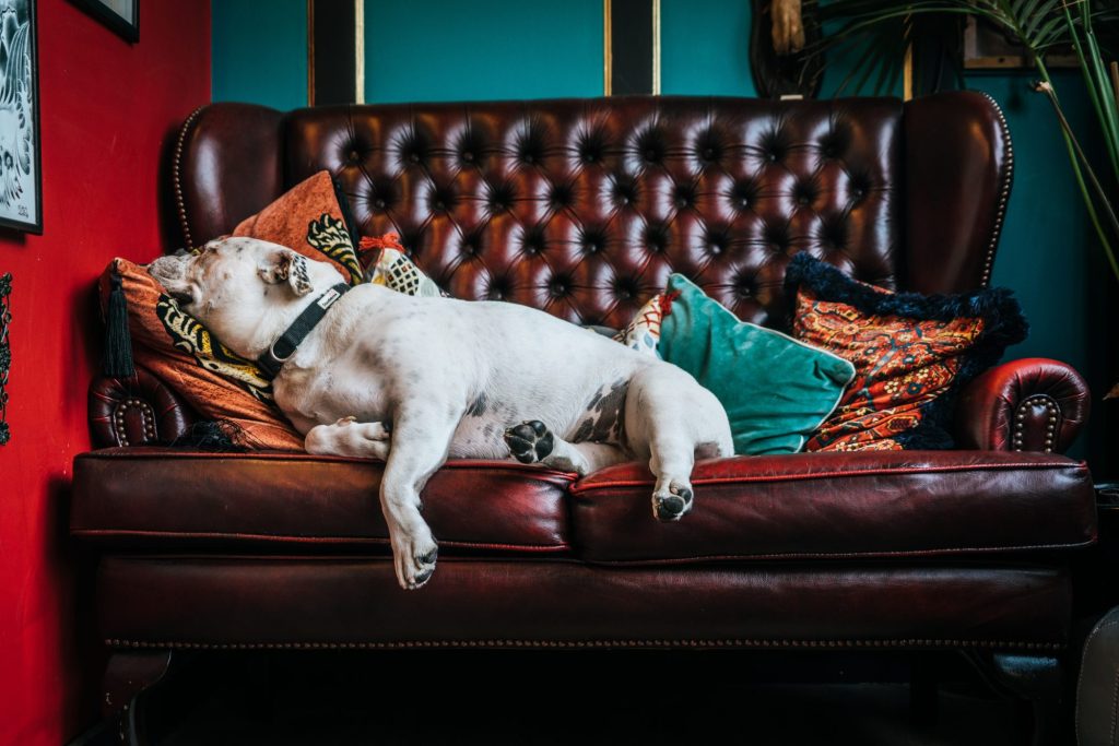3 dicas para manter o sofá e colchão em bom estado