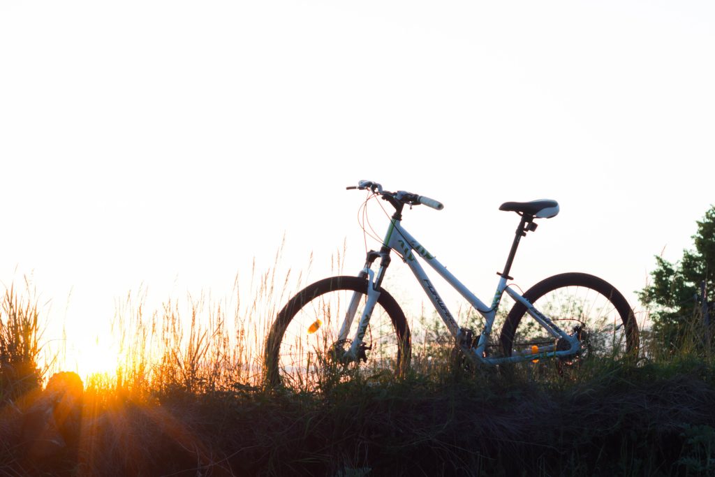 Em parceria com CCS-SP e APTS, Argo realiza webinar sobre seguro de bicicleta