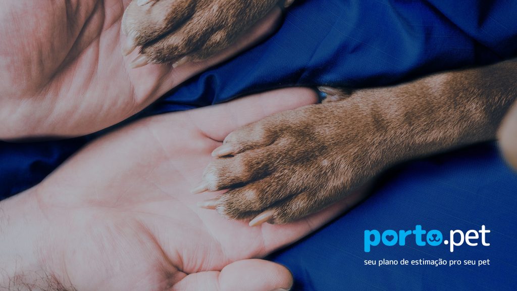 Porto Seguro e Petlove anunciam parceria e lançam a Porto.Pet