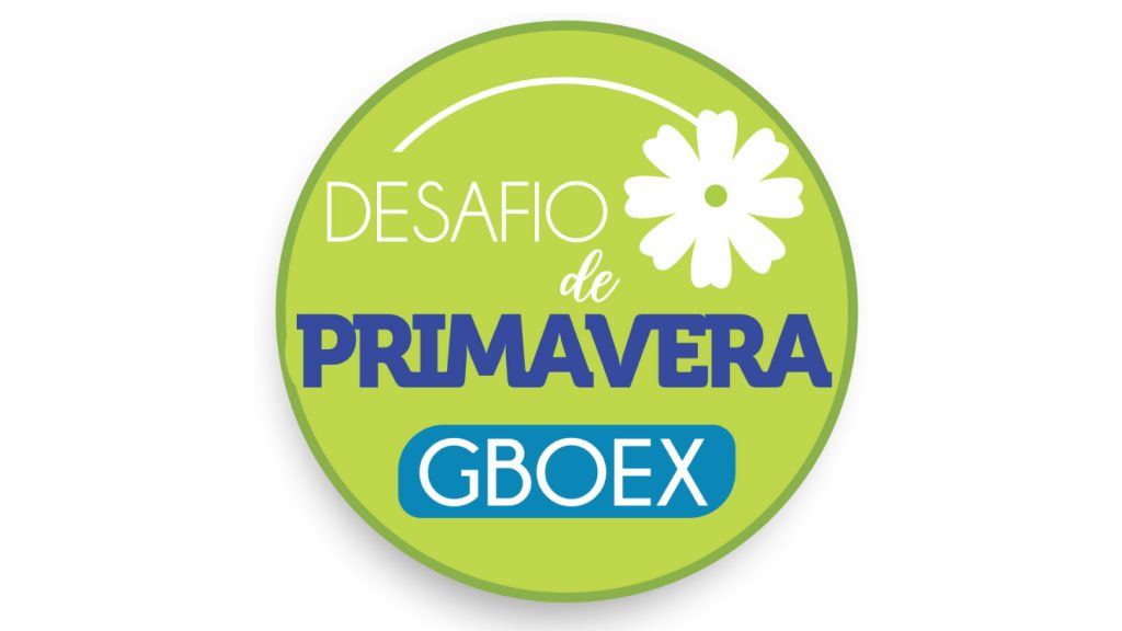 GBOEX premia corretores no Desafio de Primavera / Divulgação