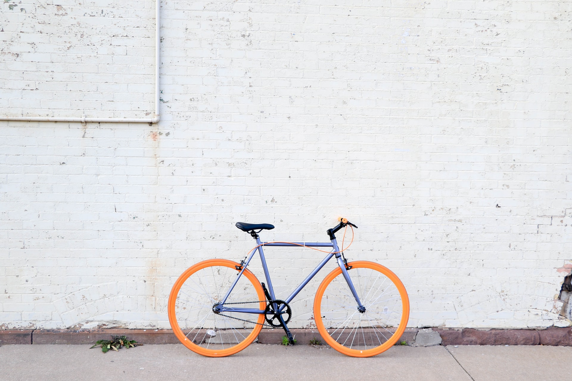 Assistência bicicleta garante tranquilidade para usuários que optam por mobilidade sustentável / Foto: Tiffany Nutt / Unsplash Images