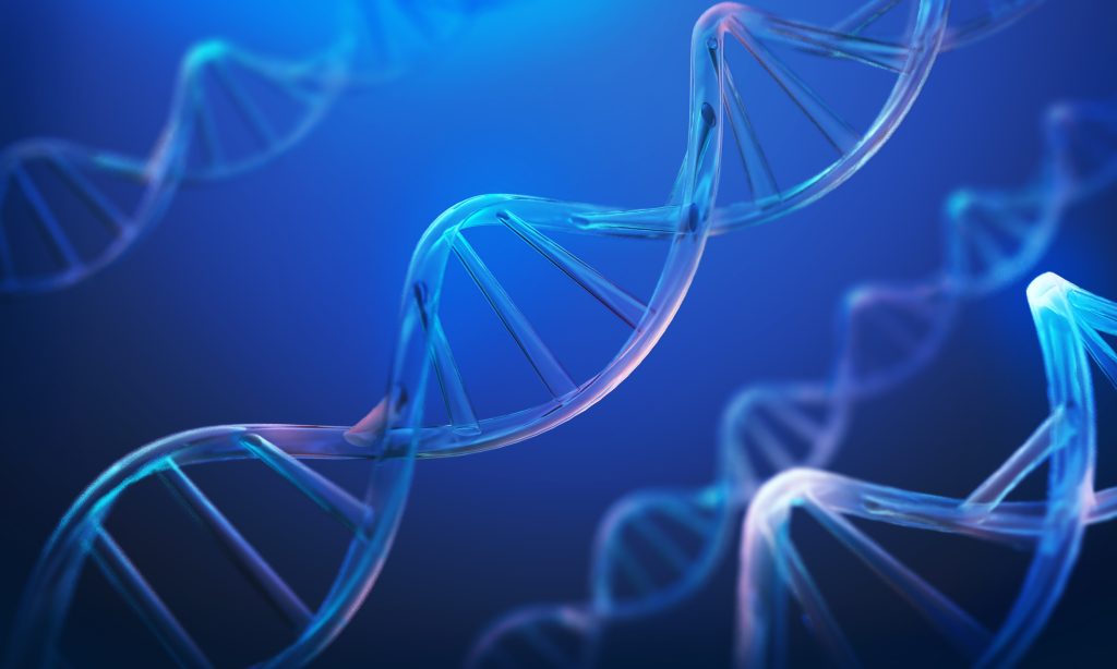 Mapeamento genético contribui para obter longevidade com qualidade de vida