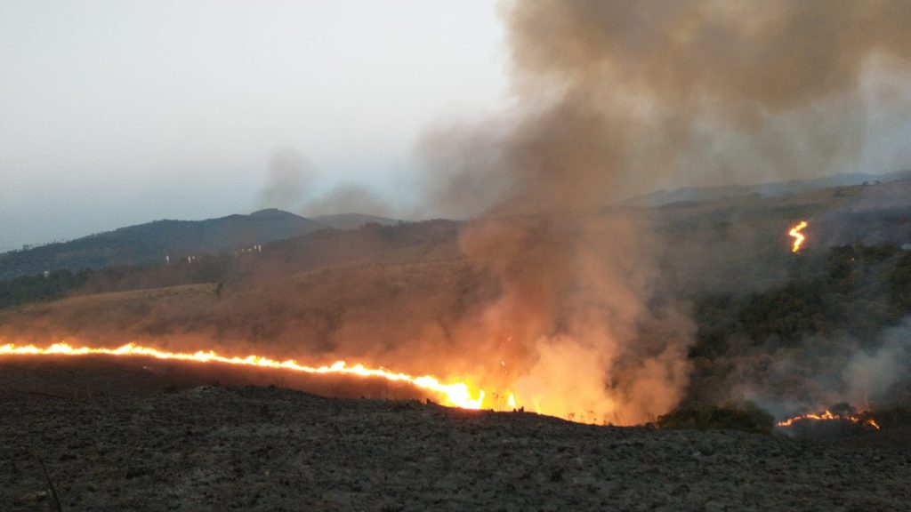 Queda de balão e uso irregular do fogo estão entre os principais motivos das ocorrências de incêndios florestais / Divulgação