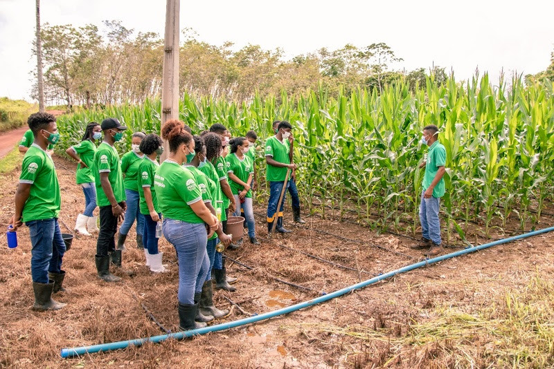 BB Seguros anuncia apoio a projeto que oferece ensino técnico a jovens de comunidades rurais no Sul da Bahia / Divulgação